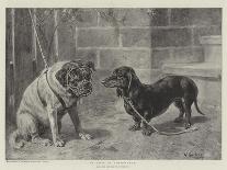 A St. Bernard on the Edge of a Wood-Heinrich Sperling-Mounted Giclee Print