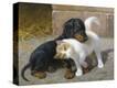Stretched Canvas Print
