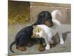 Giclee Print