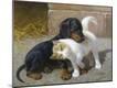 Giclee Print