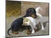 Giclee Print