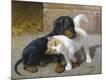 Giclee Print