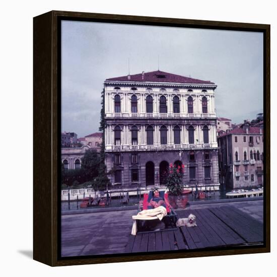 Heiress Peggy Guggenheim Sunbathing on Terrace of Venier Dei Leoni Palace on Grand Canal in Venice-Frank Scherschel-Framed Premier Image Canvas