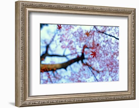 heirinji-Kouji Tomihisa-Framed Photographic Print