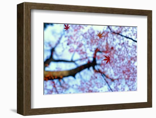 heirinji-Kouji Tomihisa-Framed Photographic Print