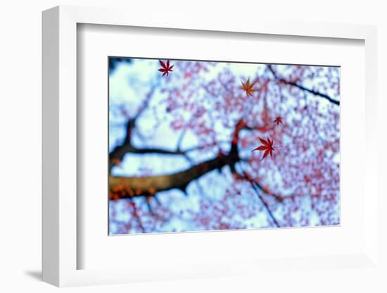 heirinji-Kouji Tomihisa-Framed Photographic Print