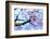 heirinji-Kouji Tomihisa-Framed Photographic Print