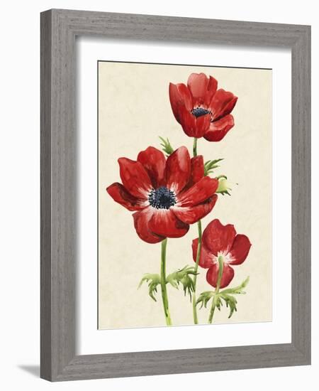 Heirloom Anemones II-Grace Popp-Framed Art Print