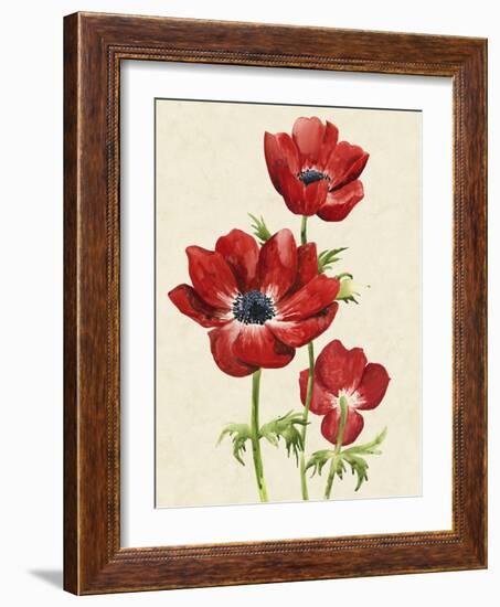 Heirloom Anemones II-Grace Popp-Framed Art Print