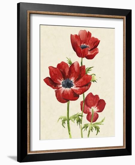 Heirloom Anemones II-Grace Popp-Framed Art Print