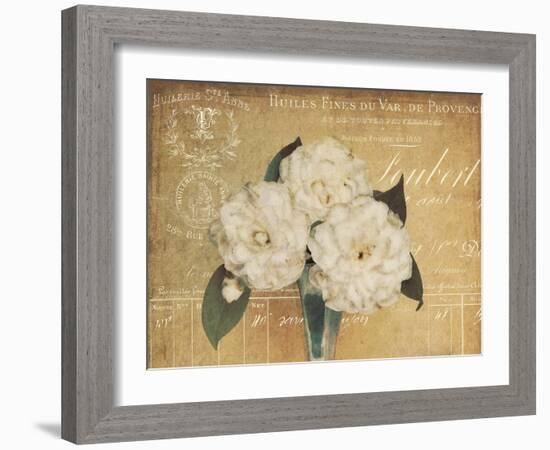 Heirloom Bouquet 1-Cristin Atria-Framed Art Print