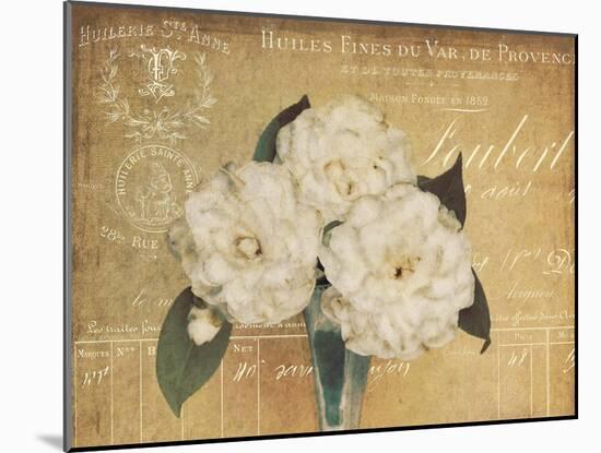 Heirloom Bouquet 1-Cristin Atria-Mounted Art Print