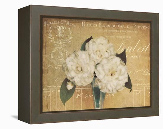 Heirloom Bouquet 1-Cristin Atria-Framed Stretched Canvas