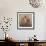 Heirloom Bouquet II-Ralph Steiner-Framed Art Print displayed on a wall