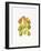 Heirloom Gourds-Deborah Kopka-Framed Giclee Print