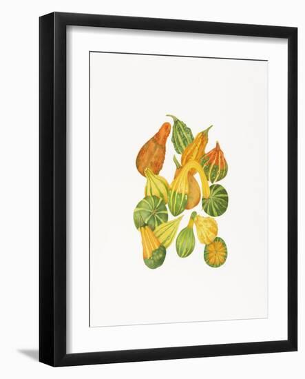 Heirloom Gourds-Deborah Kopka-Framed Giclee Print