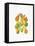 Heirloom Gourds-Deborah Kopka-Framed Premier Image Canvas