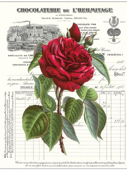 Heirloom Roses A Art Print Sarah E Chilton Art Com