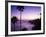 Heisler Park in Laguna Beach, Orange County, California, United States of America, North America-Richard Cummins-Framed Photographic Print