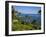 Heisler Park in Laguna Beach, Orange County, California, United States of America, North America-Richard Cummins-Framed Photographic Print