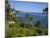 Heisler Park in Laguna Beach, Orange County, California, United States of America, North America-Richard Cummins-Mounted Photographic Print