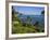 Heisler Park in Laguna Beach, Orange County, California, United States of America, North America-Richard Cummins-Framed Photographic Print