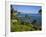 Heisler Park in Laguna Beach, Orange County, California, United States of America, North America-Richard Cummins-Framed Photographic Print