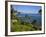 Heisler Park in Laguna Beach, Orange County, California, United States of America, North America-Richard Cummins-Framed Photographic Print