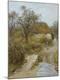 Giclee Print