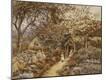 Giclee Print