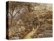 Stretched Canvas Print