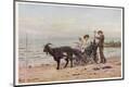 Photographic Print