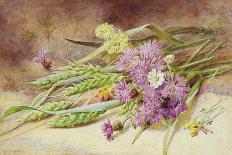 Green Wheat and Wild Flowers-Helen Cordelia Coleman Angell-Framed Giclee Print