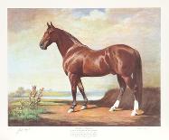 The Red Mile-Helen Hayse-Collectable Print