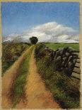 A Road in Galway-Helen J. Vaughn-Giclee Print