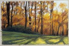 Early Fall Trees-Helen J. Vaughn-Giclee Print