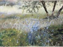 Field with Blue Flowers-Helen J. Vaughn-Giclee Print