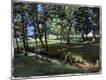 Premium Giclee Print