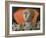 Helen of Troy, 1957-John Armstrong-Framed Giclee Print