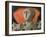 Helen of Troy, 1957-John Armstrong-Framed Giclee Print