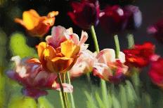 Peony Season, 2018-Helen White-Giclee Print