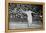 Helen Wills Playing Her First Wimbledon Final Against Kathleen Mckane, 1924-null-Framed Premier Image Canvas