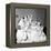Helena Rubinstein Beauty School Training. Women Learning About Facials. 1940S-Nina Leen-Framed Premier Image Canvas