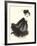 Helena-Bridget Davies-Framed Giclee Print