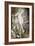 Hélène glorifiée-Gustave Moreau-Framed Giclee Print