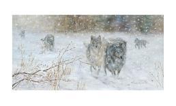 The Wolves' Trail-Hélène Léveillée-Art Print