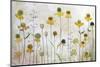 Helenium-Mandy Disher-Mounted Photographic Print