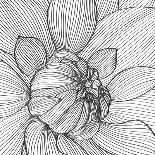 Abstract Floral Flower Dahlia-Helga Pataki-Art Print