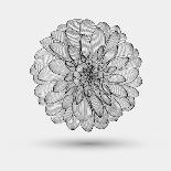 Hand-Drawn Flower Chrysanthemum. Element For Design. Abstract Floral Background-Helga Pataki-Art Print