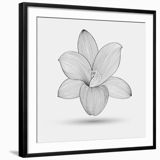 Art Print, , large